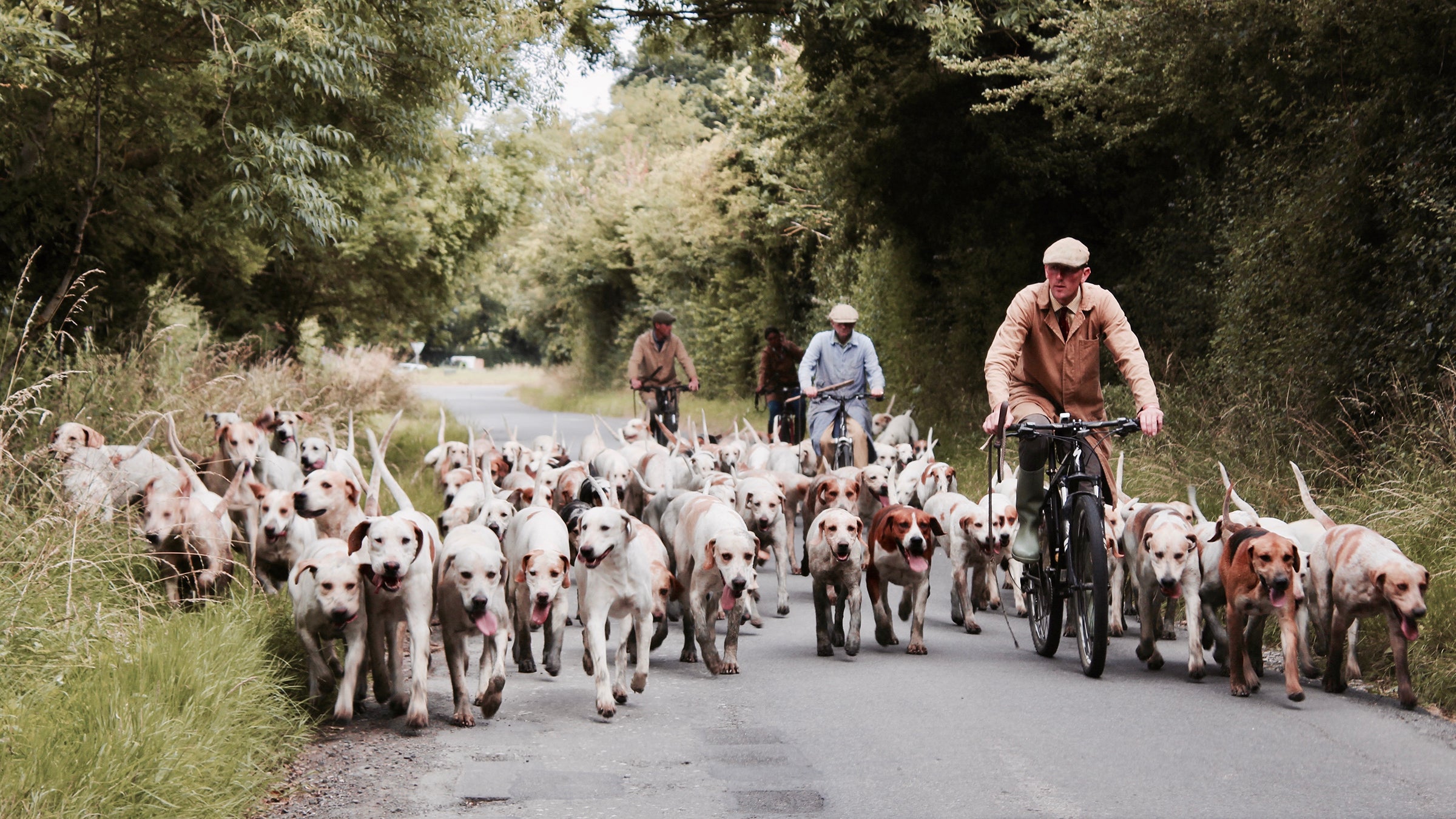 The trails are crowded out there. Here’s how to not pass like an animal.