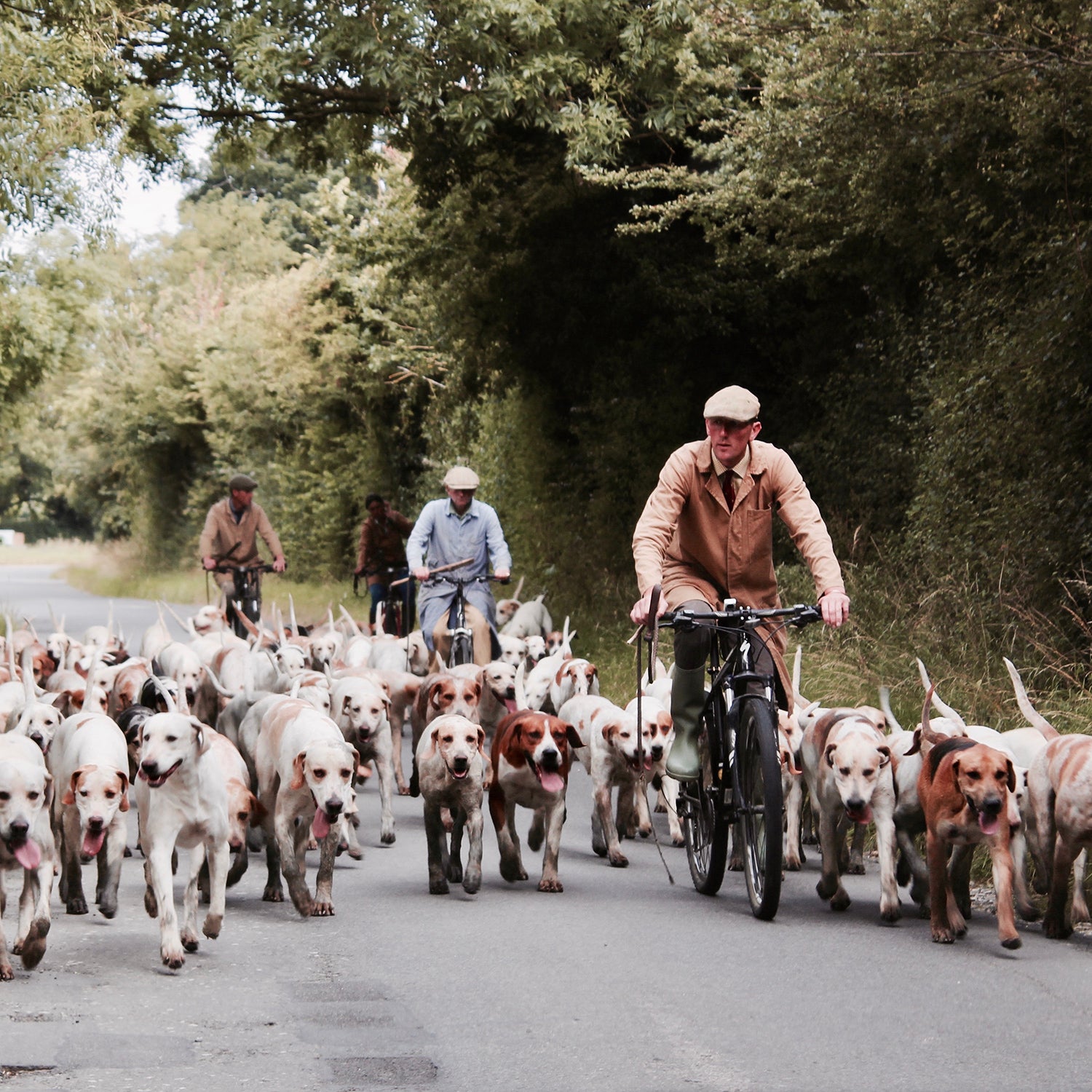 The trails are crowded out there. Here’s how to not pass like an animal.