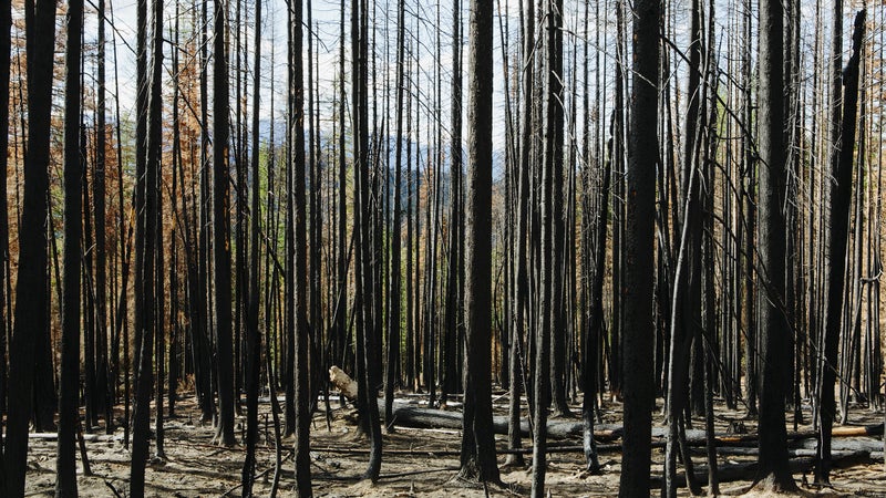 The Pagami Creek Fire torched 70,000 acres in less than four hours.