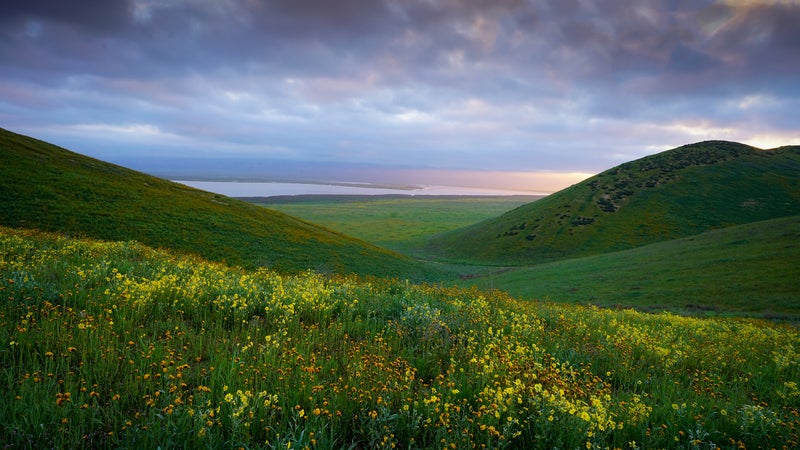 Carrizzo Plain National Monument is among those still up for review.
