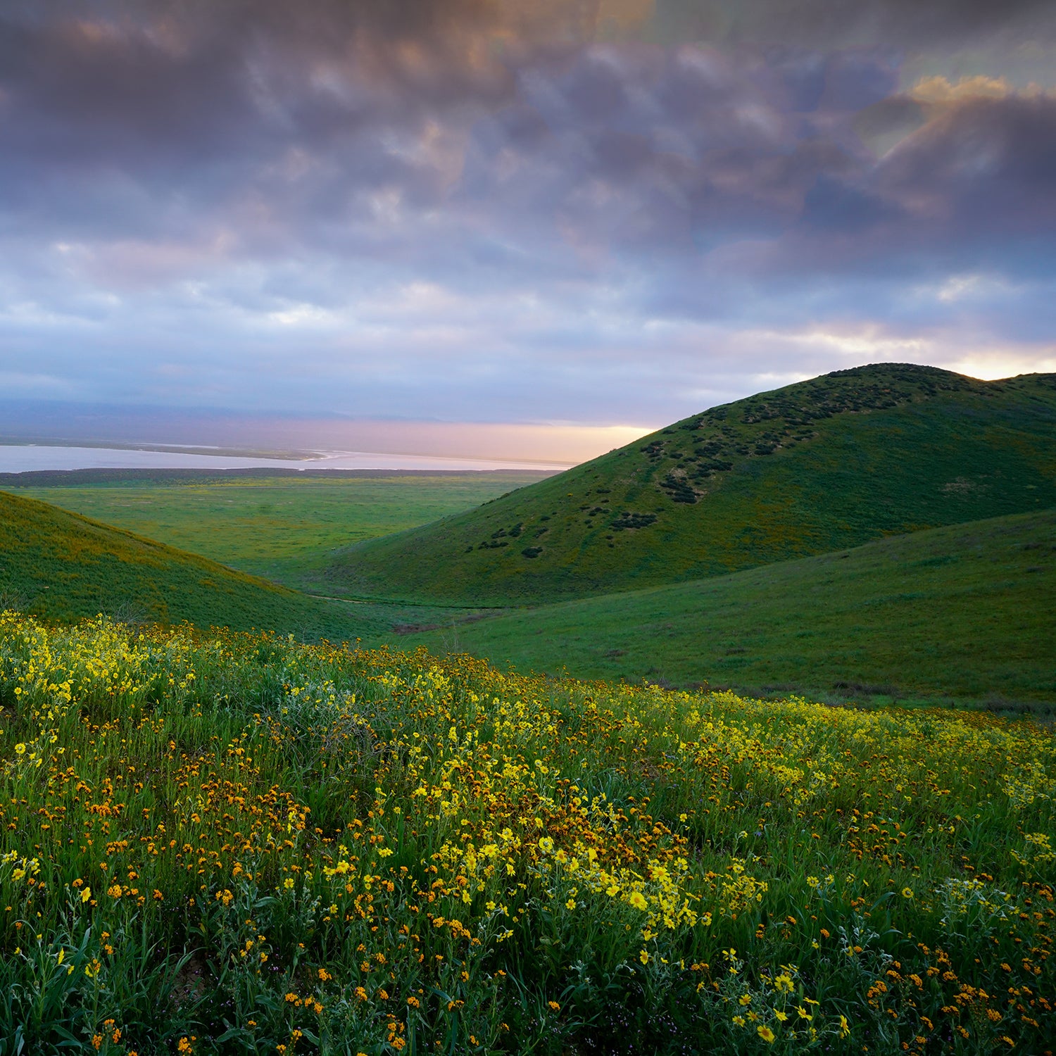 Carrizzo Plain National Monument is among those still up for review.