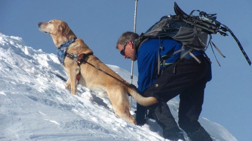 Randy Quinn summits New Hampshire's notorious Mt. Washington with the aid of his service dog, Quinn.