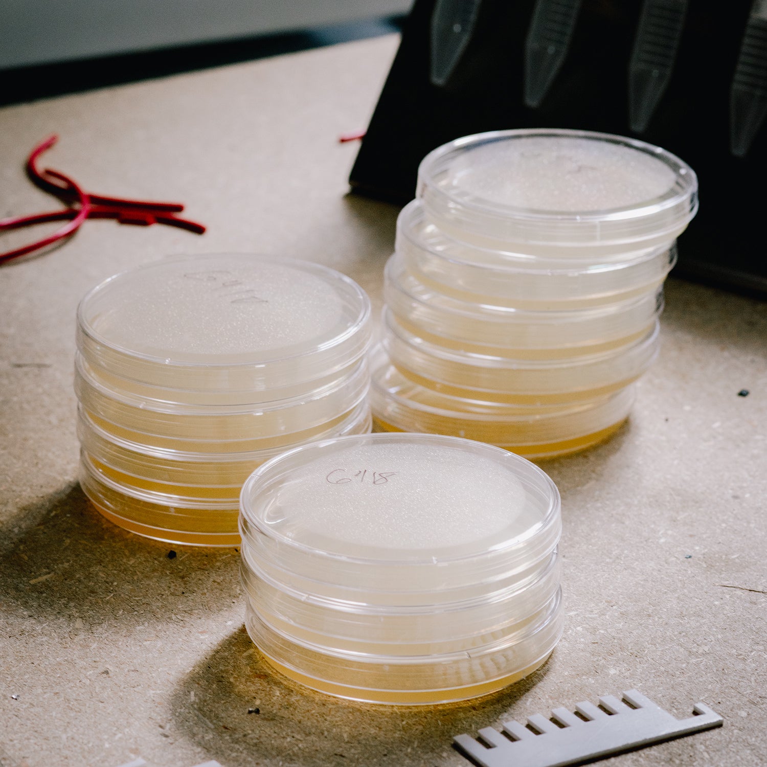 Agar plates.