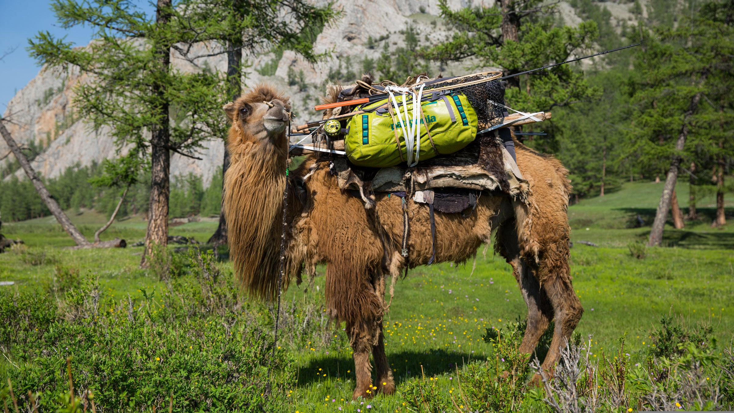 The Patagonia Black Hole has been field tested extensively.