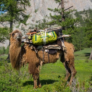 The Patagonia Black Hole has been field tested extensively.