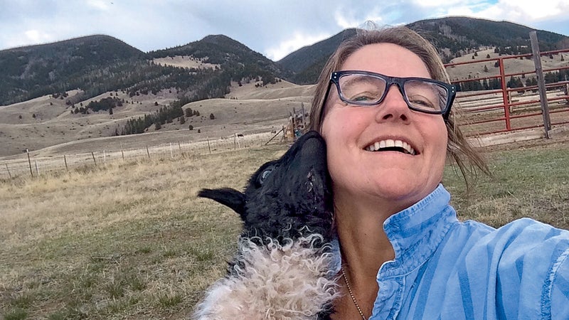 Houston recieving a kiss from Lance, a two-week-old Icelandic ram.