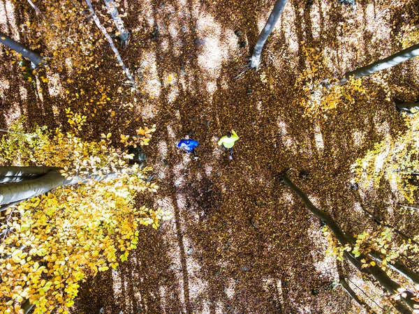 It may be a sport for all seasons, but fall running deserves a category all to itself.