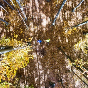 It may be a sport for all seasons, but fall running deserves a category all to itself.