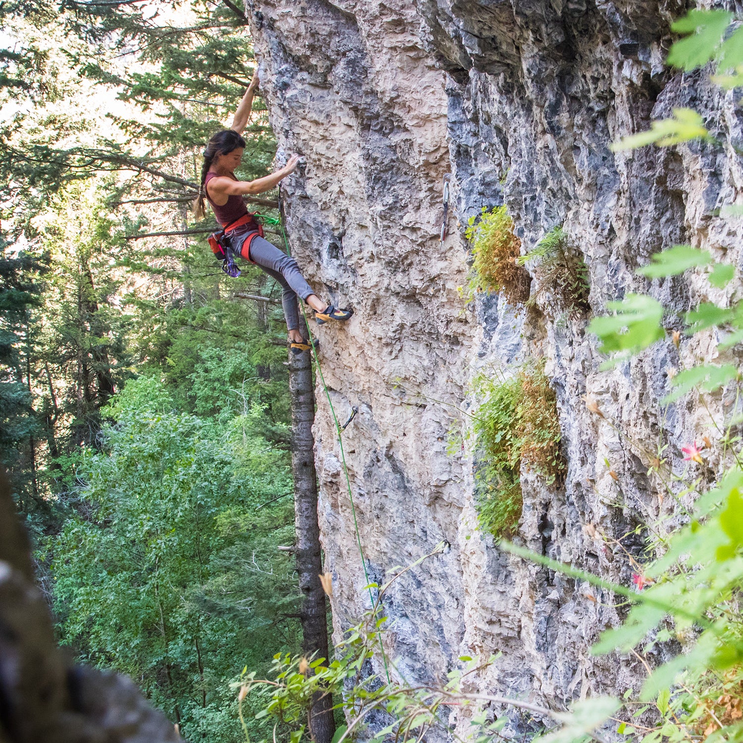 Best Beginner Climbing Gear