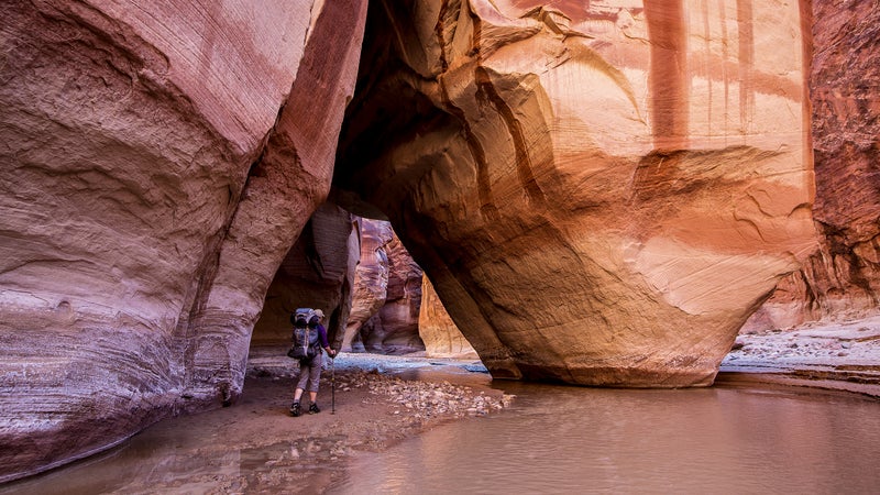 Protecting the national monument status of many parks isn't just protecting wildlife—it's protecting cultural objects and access for citizens.