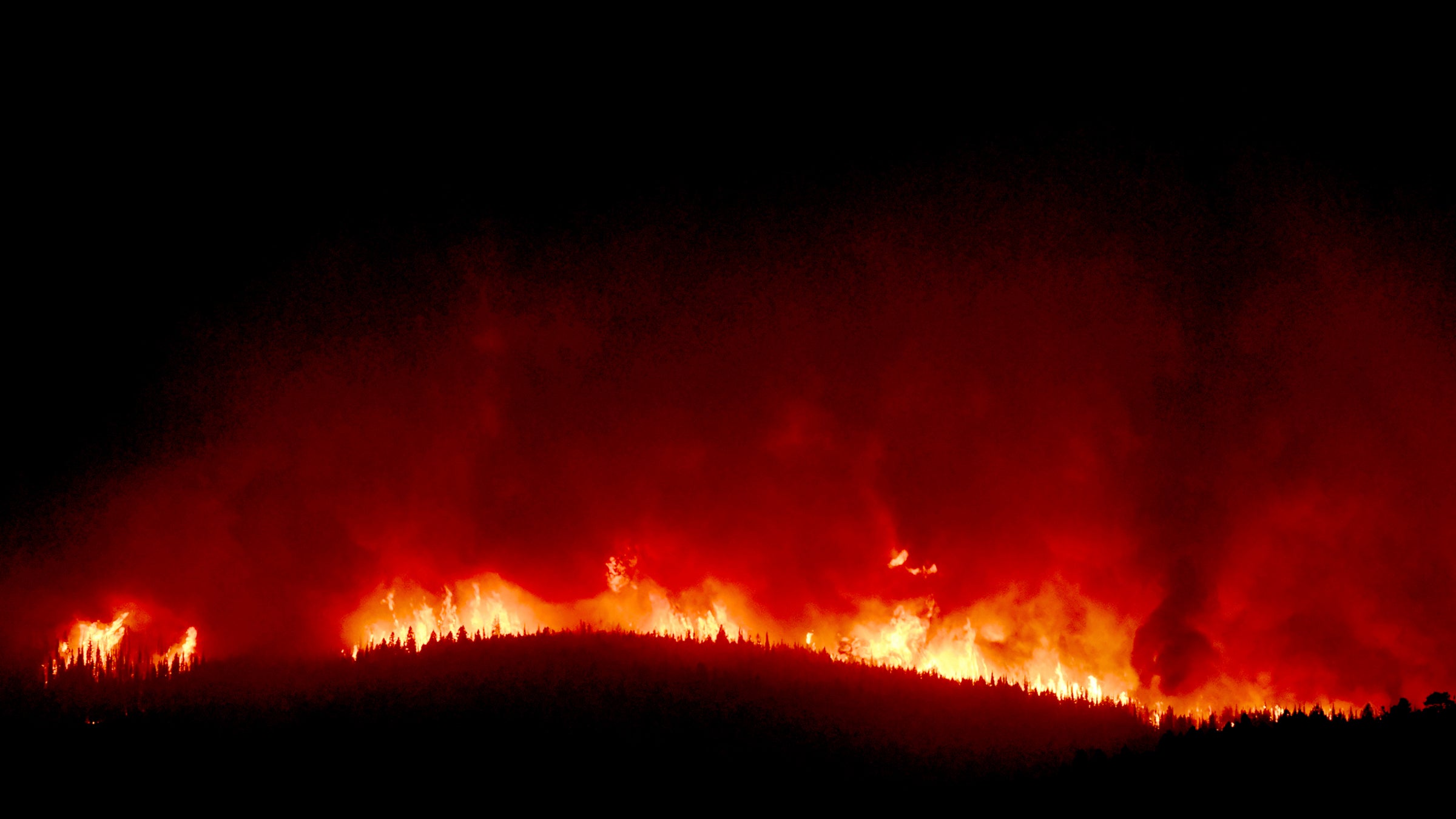 The 53,900 acres Lolo Peak Fire, shown here, cost the federal and state government $48 million.