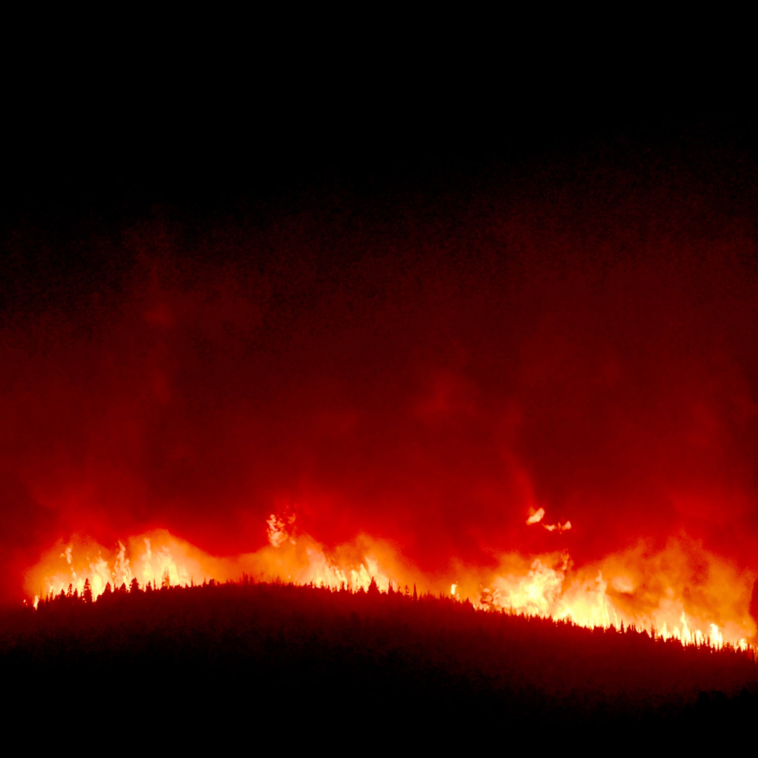 The 53,900 acres Lolo Peak Fire, shown here, cost the federal and state government $48 million.