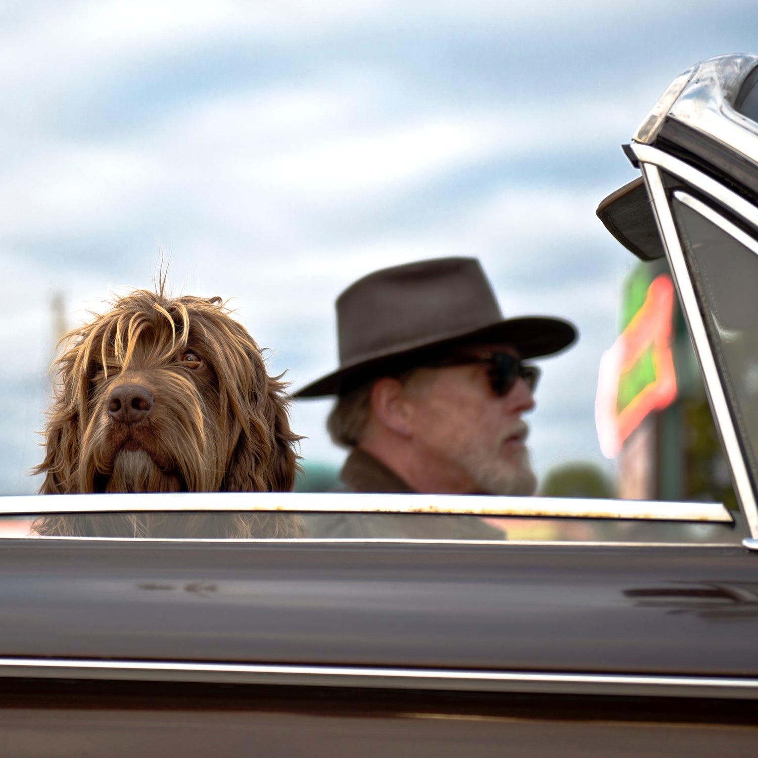 Keeping your pup happy on the road is key to a happy canine assisted road trip.