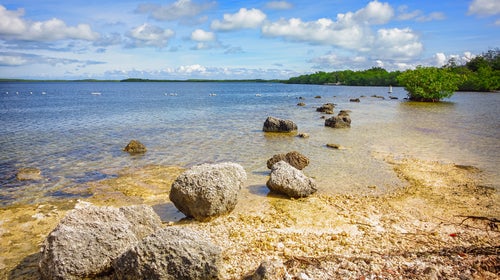 Don’t forget about state and county forests and parks, like Florida’s John Pennekamp Coral Reef State Park.