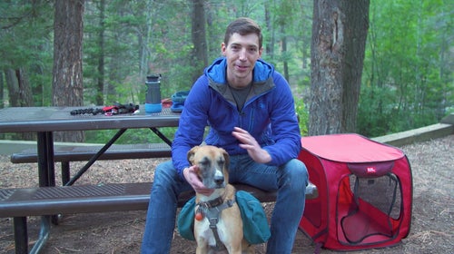 Bringing your dog along isn’t that complicated and doesn’t need to be intimidating.