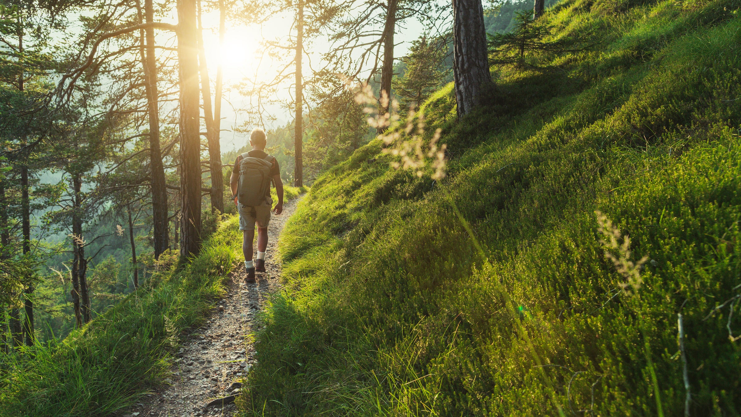 Senior man trail hiking in the forest