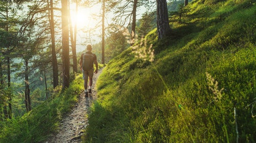 Senior man trail hiking in the forest