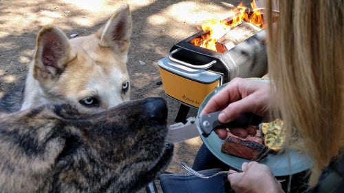 Do not try this at home. Stunts performed by professional stunt dogs. And yes, that is Robert Young Pelton's latest knife, the 100 percent made in America HEST/F Urban Ti.