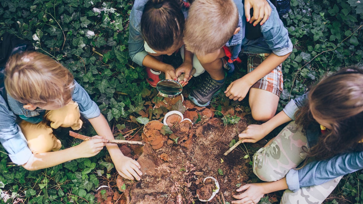 The Future Of Scouting In America