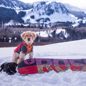 Here is Kicker’s most essential gear.