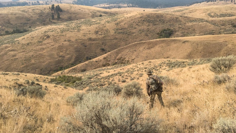 Each day, the elk would return from the river lowlands to bedding grounds in the dense brush of higher-elevation valleys. Learning those movements and finding natural funnels that create ambush opportunities were the keys to successfully hunting such wary game in open country like this. But it was teamwork that made the hunt possible.