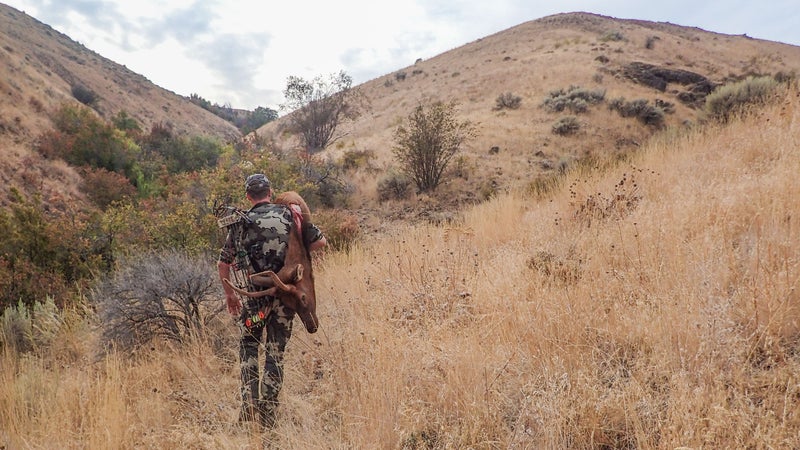Me, carrying out the cape from Griff's spike. Hunter success rate for true spikes in Washington is only 5 percent. He downed this guy at 9 a.m. on day two of our hunt while spotting and stalking through open grasslands. The plan is to turn the skin into a pair of boots and a rug. The antlers will form the handles of a set of custom knives.