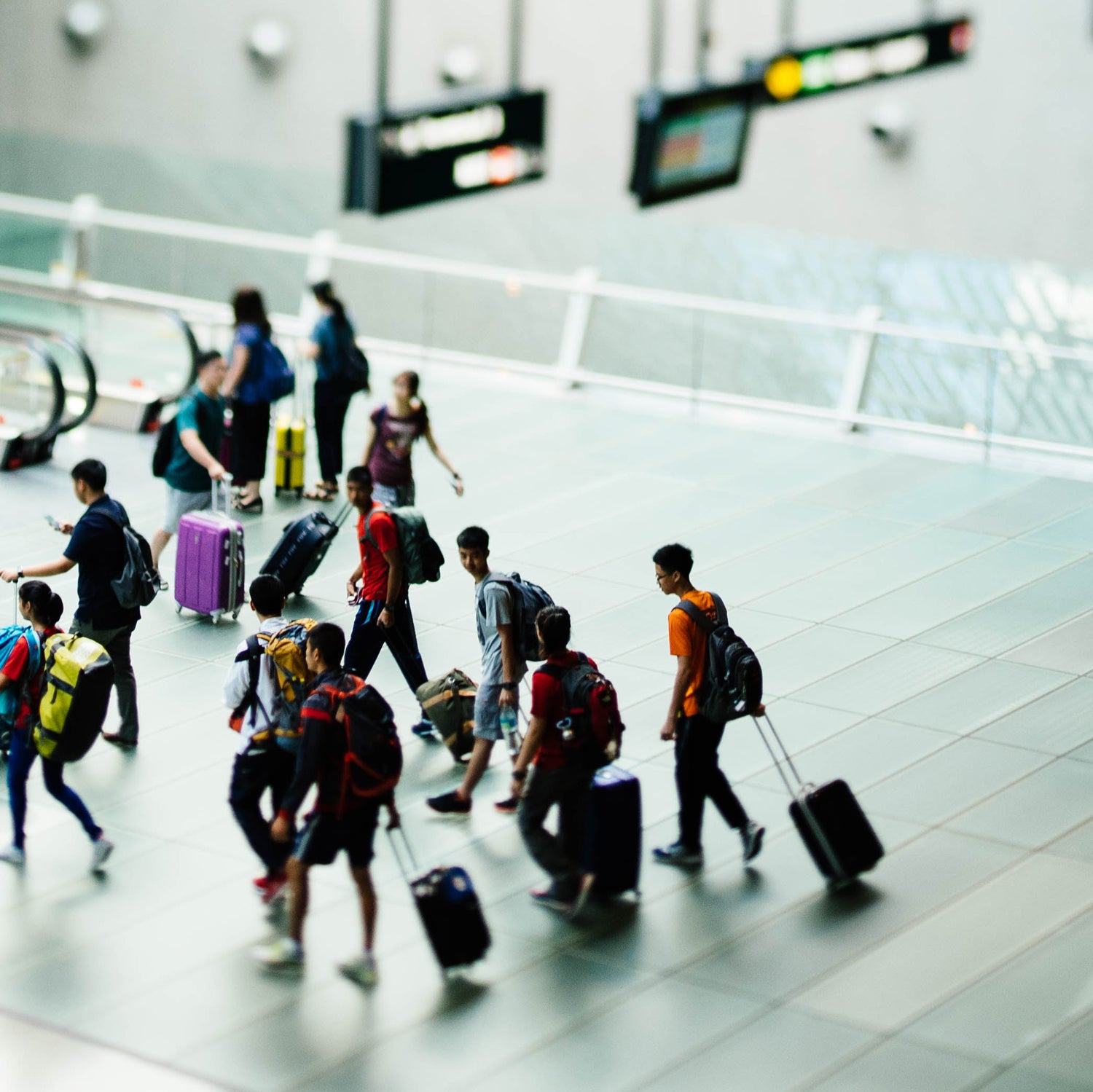 A good roller bag can literally take you anywhere in the world.