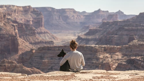 Whether you need your date to love dogs, get jealous when your dog loves other people too much, or both, we have answers for you.