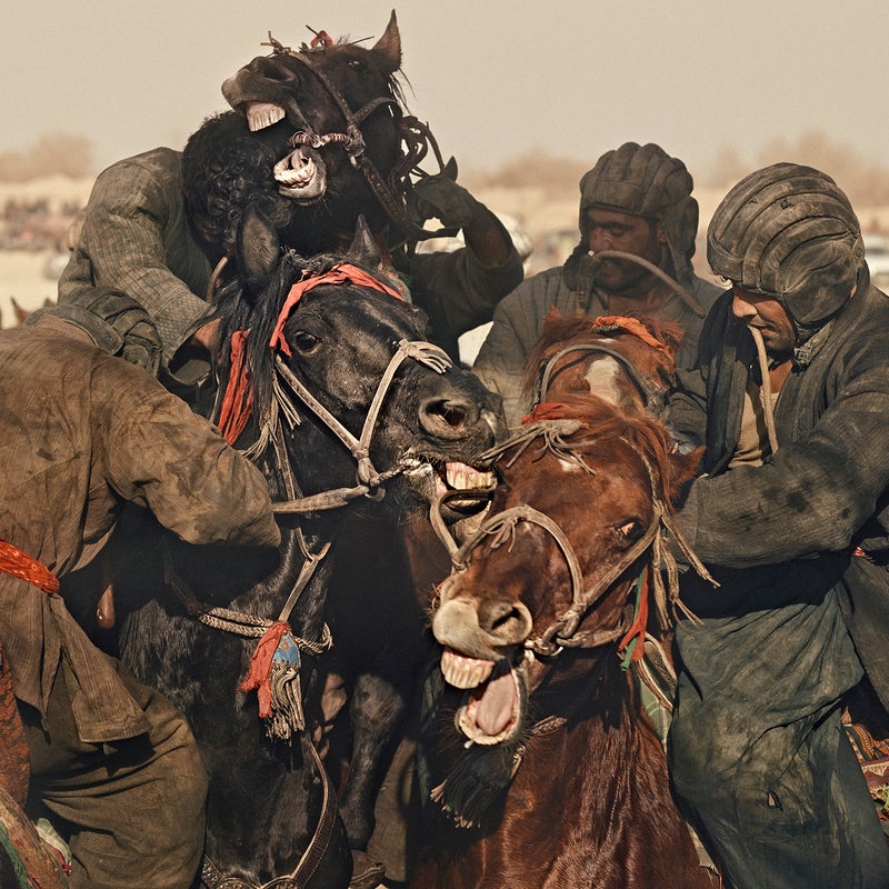 Riders fighting for control of the buz, a slaughtered calf.