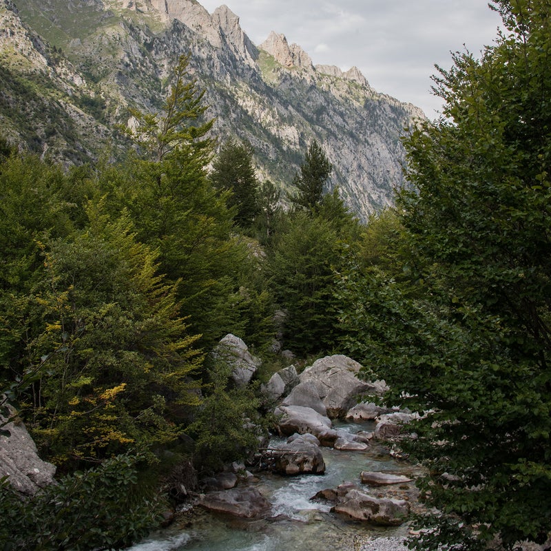 Meanwhile, the Albanian government granted multiple hydropower concessions on the Valbona River 鈥 allegedly without the required public notifications.