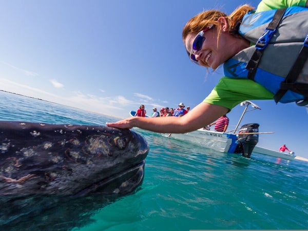 As cliché as it is, experiences are always a better than gizmos.