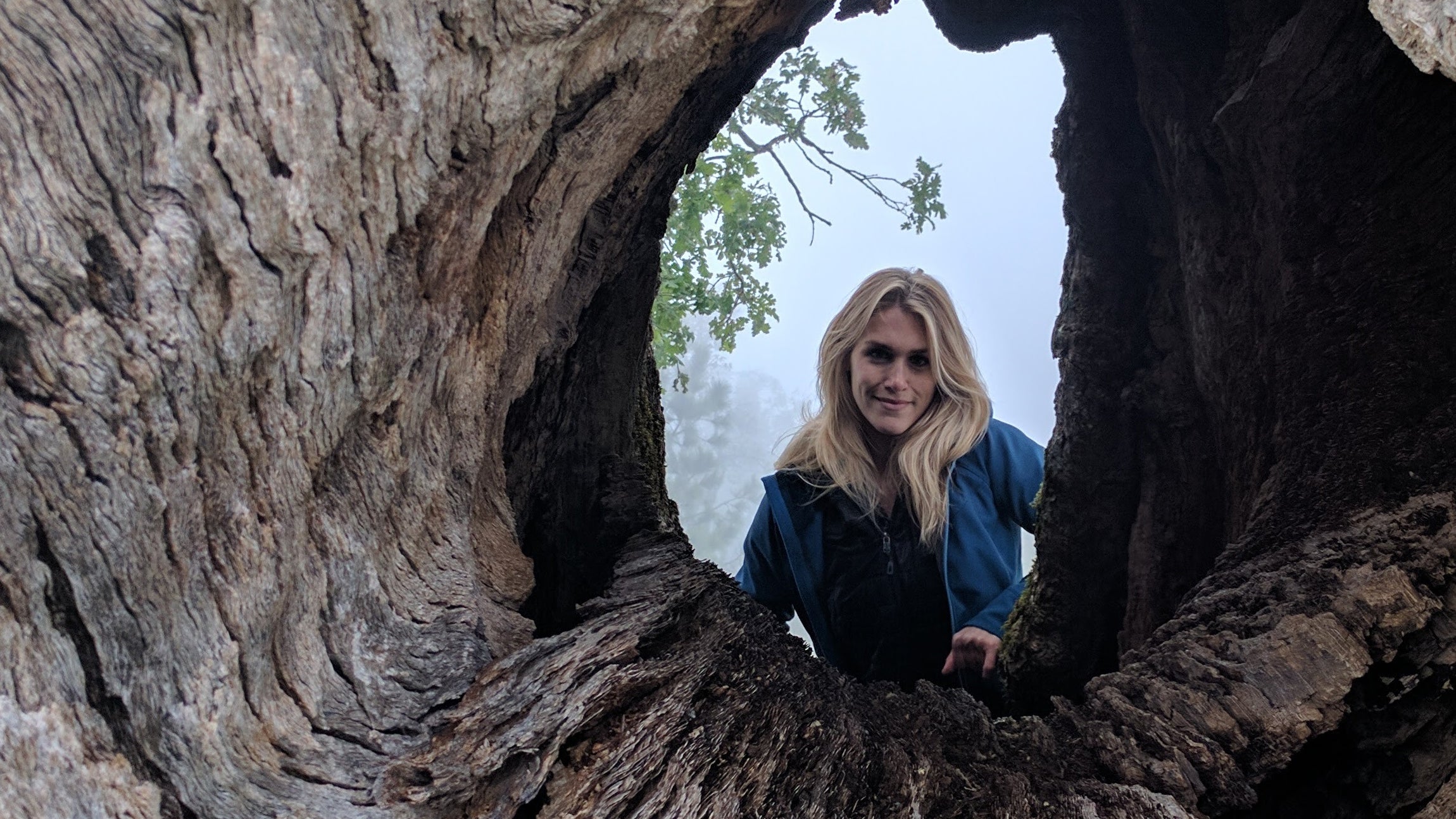 Camping in Big Sur during a rainy weekend? No big deal if you're in gear that makes it comfortable.