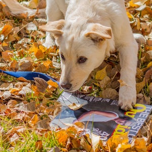 Dear readers: You can do better than this.