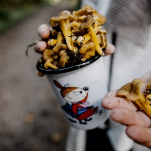 Picking mushrooms can be fun, but if you aren't careful you can end up fighting for your life.