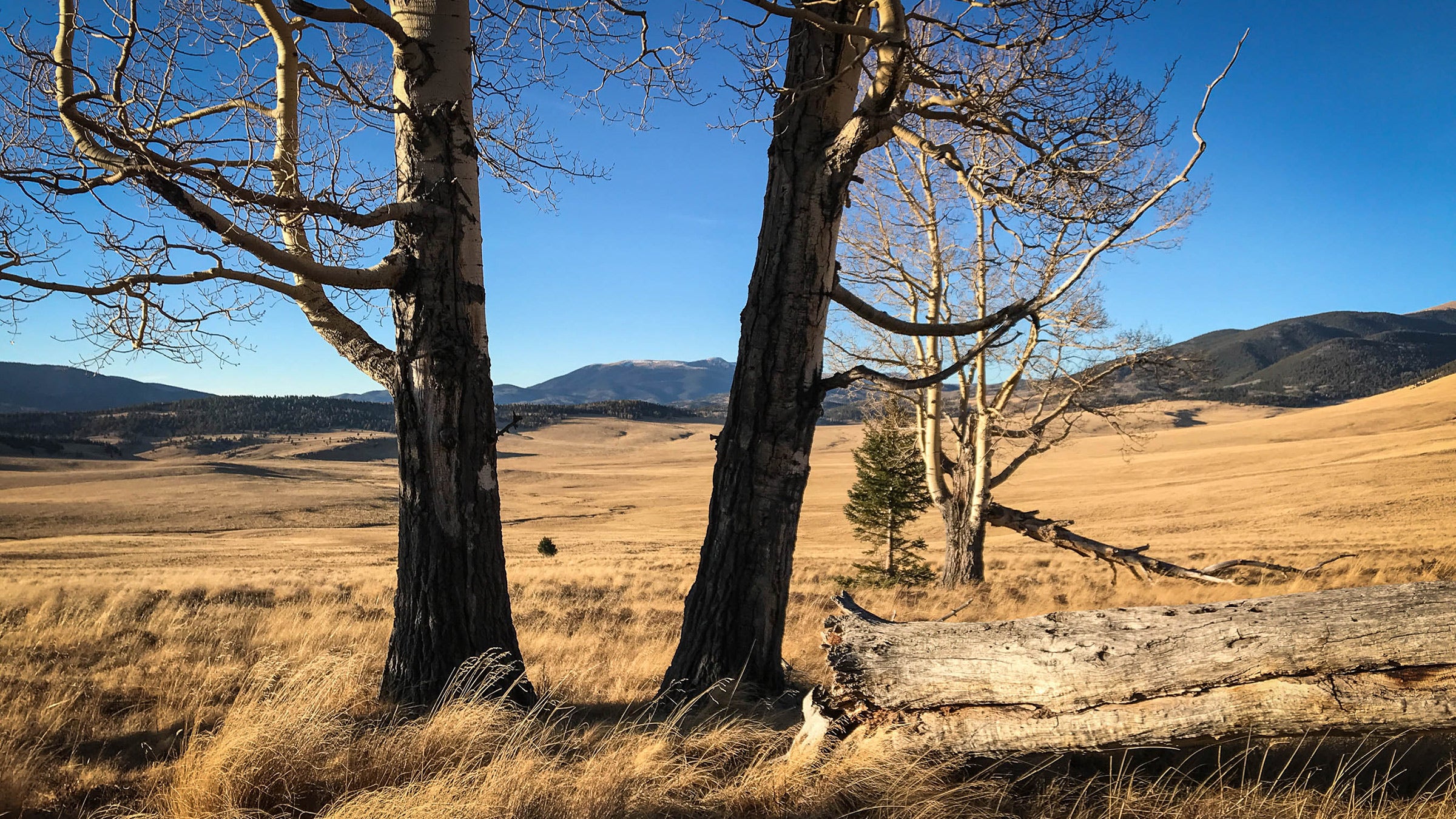 There’s over a hundred thousand acres of prime mountains just sitting quietly, free to be enjoyed and explored.