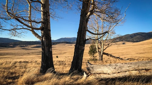 There’s over a hundred thousand acres of prime mountains just sitting quietly, free to be enjoyed and explored.