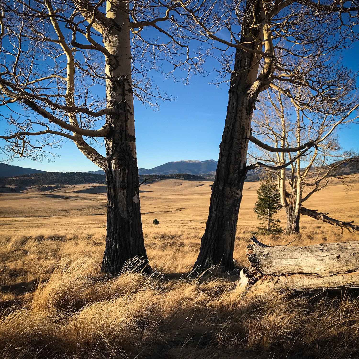 There’s over a hundred thousand acres of prime mountains just sitting quietly, free to be enjoyed and explored.