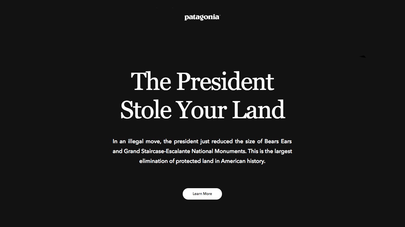What Patagonia.com looks like right now. Says it all, really. 