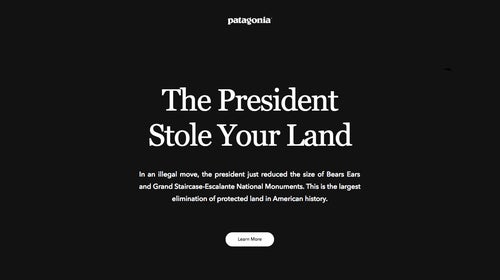 What Patagonia.com looks like right now. Says it all, really.