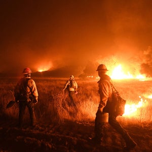 The Resilient Federal Forests Act aims to remove steps that ensure the U.S. Forest Service complies with federal environmental standards.