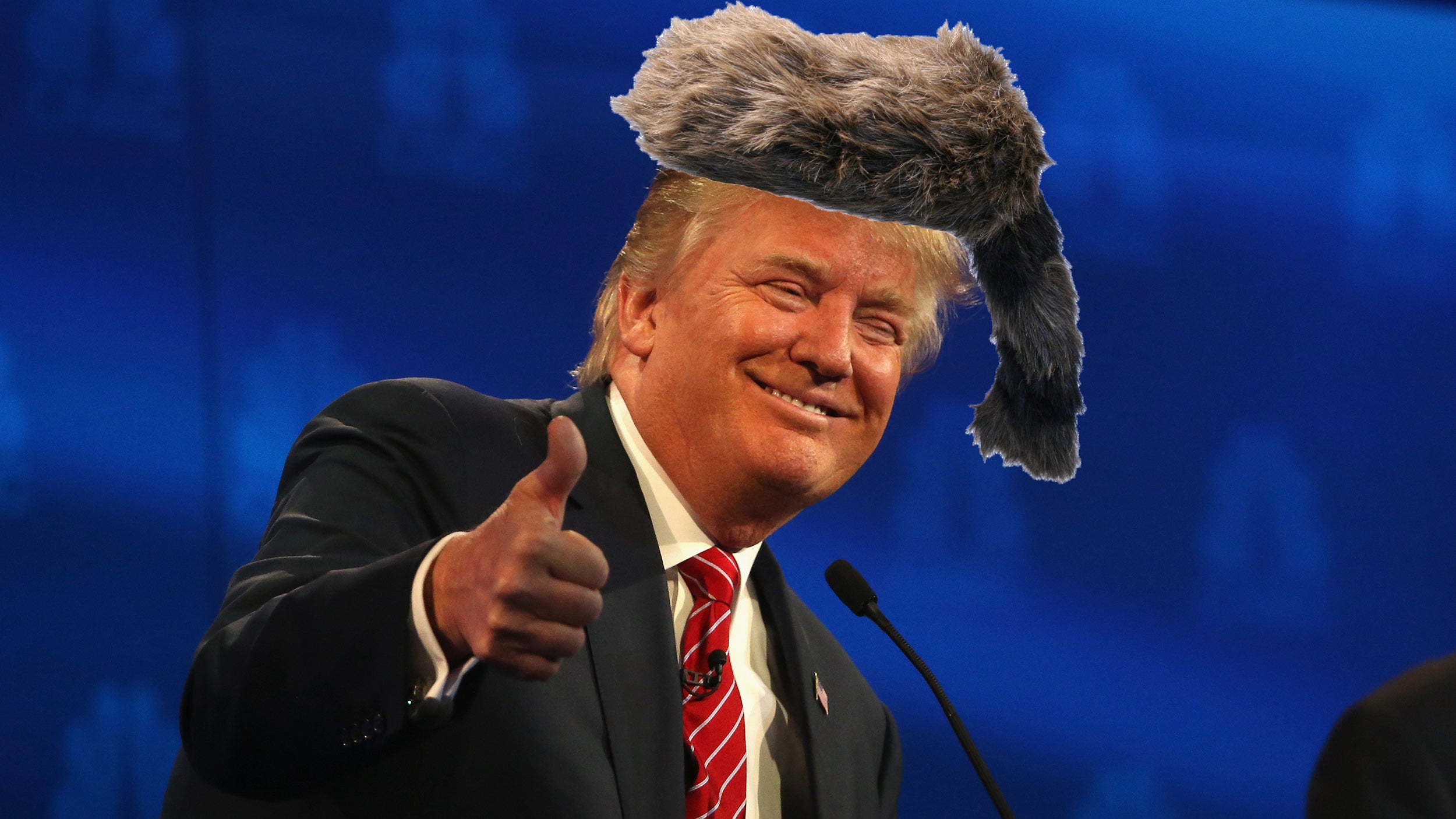 The word carpetbagger comes to mind. 