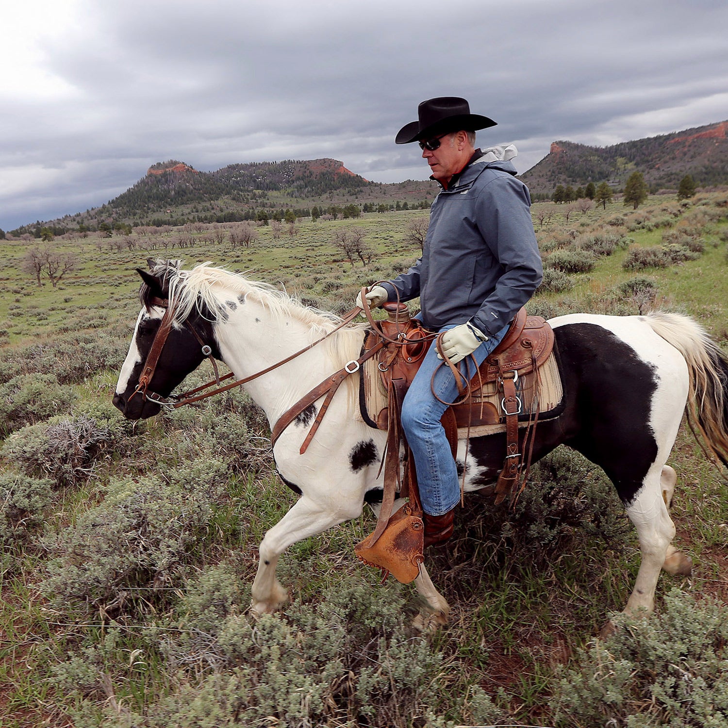 Many interior staffers were initially excited about Ryan Zinke’s nomination.