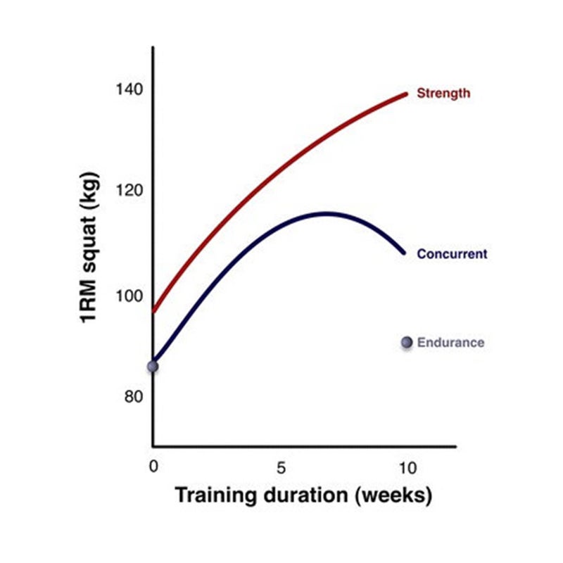 Why endurance and strength sports are better