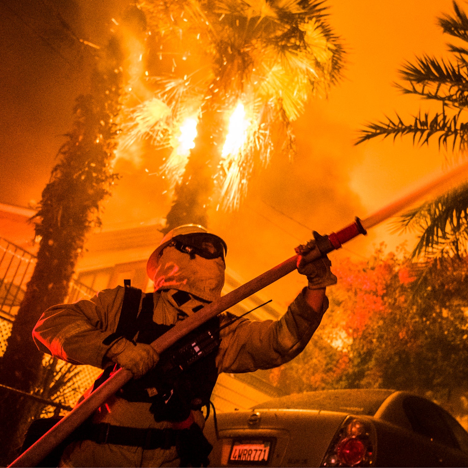 A firefighter extinguishes a palm tree spewing embers in the La Conchita area south of Carpinteria.