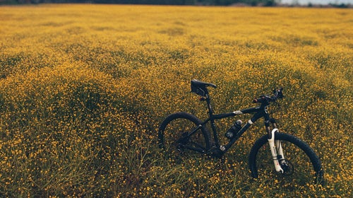 I want to remind myself of something that's all too easy to forget in our gear-oriented culture: how to make the most of our equipment.