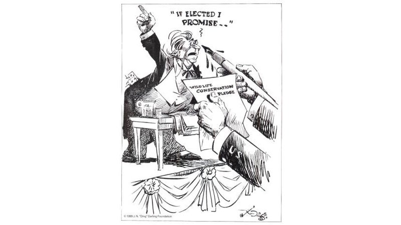 It sounds quaint today, but in the 1930s, a cartoonist was able to hold politicians accountable for failing to follow through on their promises to protect wildlife. Dingle criticized roundly, but FDR was a frequent subject.