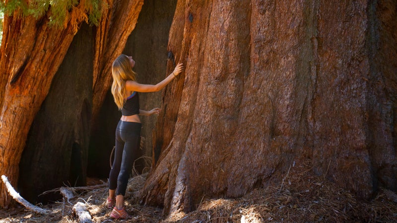 Sequoia National Park