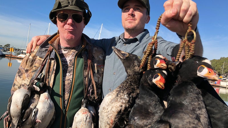 There certainly wasn't a lack of ducks in the San Pablo Bay that morning. Scott and I both reached our limits—seven ducks a piece. We've been traveling heavily since, but they're sitting in my deep freeze, waiting on us to throw a dinner party in a couple weeks. Sea ducks eat clams and other shellfish, making them a unique challenge in the kitchen. But, armed with scalpels and a slow cooker, I think we'll manage to put together a decent meal.
