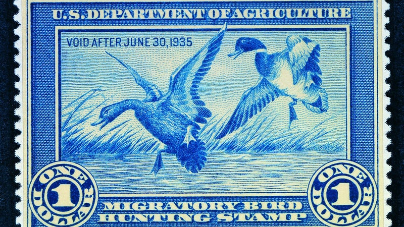 Ding Darling's first ever federal duck stamp.