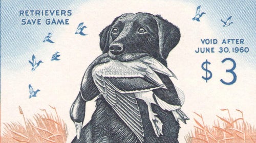 The 1959 Duck Stamp.